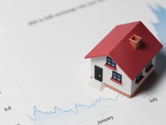 Immobilien-Und Investment Consulting