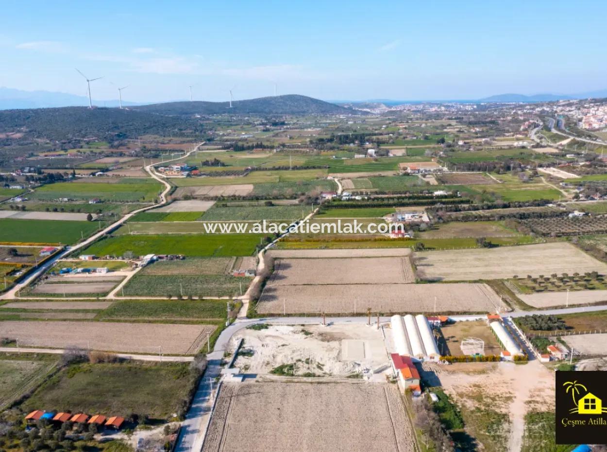 12 Acres Of Land For Sale In Çeşme Ovacik