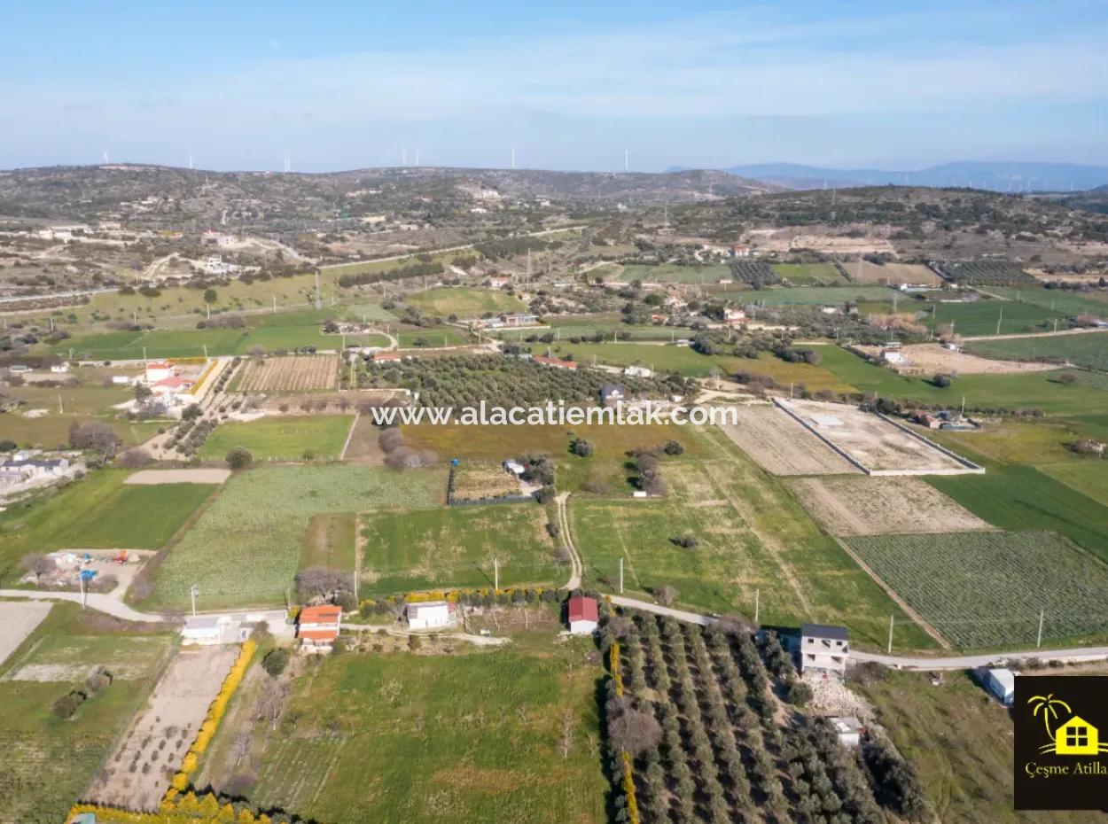 12 Acres Of Land For Sale In Çeşme Ovacik
