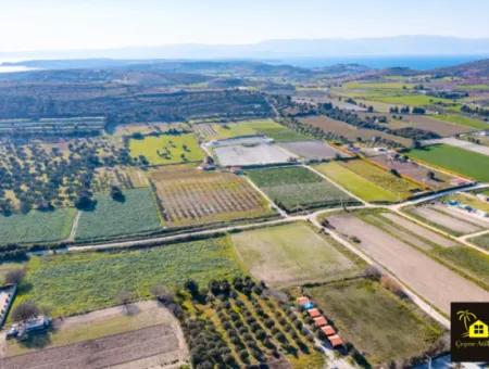 12 Acres Of Land For Sale In Çeşme Ovacik