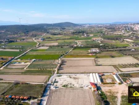 12 Acres Of Land For Sale In Çeşme Ovacik