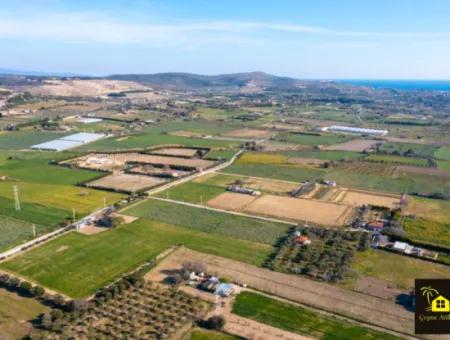 12 Acres Of Land For Sale In Çeşme Ovacik