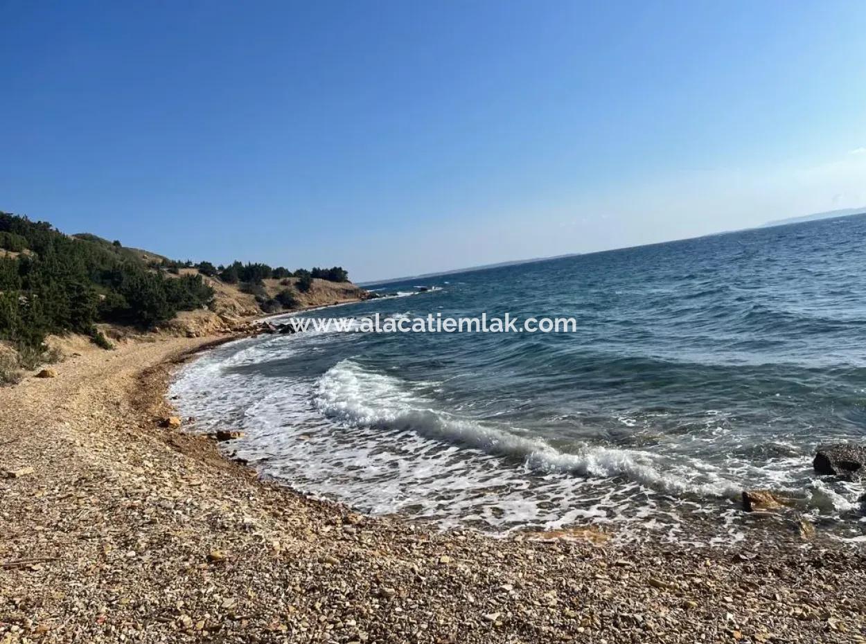 Çeşme Ayasaranda'da Full Deniz Manz. Aylık Kiralık 1+1 Residence Daire