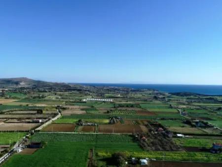 Çeşme Ovacık'ta Satılık 40 Dönüm Arazi/Üzüm Bağı