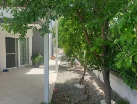 Alaçatı Çamlık Yolda Aylık Kiralık Müstakil Havuzlu 4+1  Villa