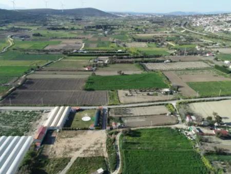 Çeşme'de Restaurant,Kafe,Kahvaltı Salonuna Uygun Kiralık Ev